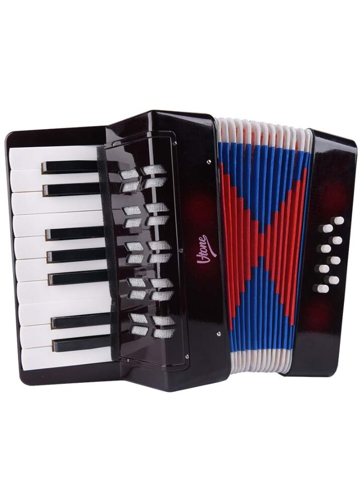 V-TONE ZENEK BK akordeon dla dzieci POWYSTAWOWY