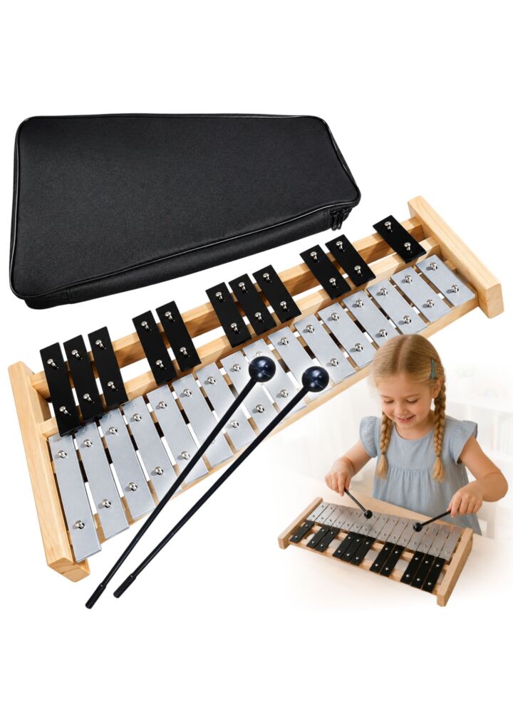 V-TONE DC 27 SET dzwonki chromatyczne cymbałki dziecięce zestaw