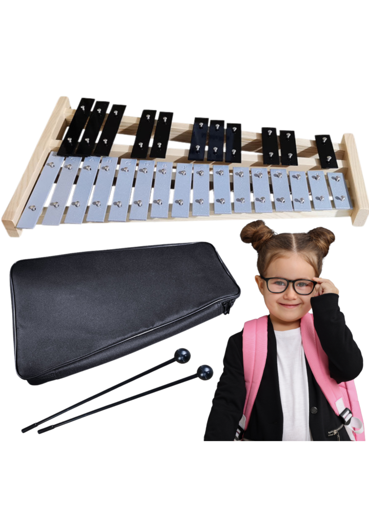 V-TONE DC 27 SET dzwonki chromatyczne cymbałki dziecięce zestaw
